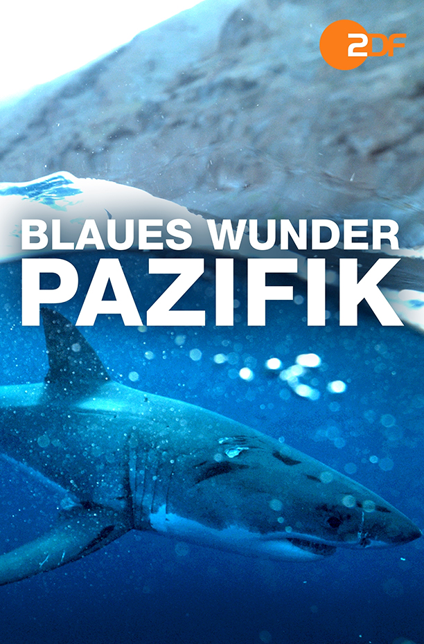 Blaues Wunder Pazifik