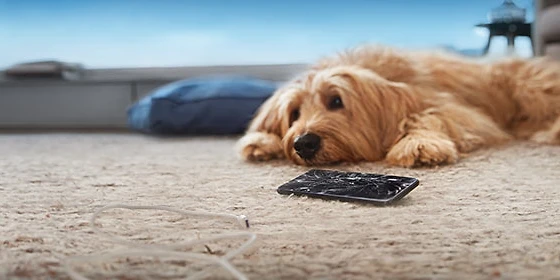  Handykauf bei O2 mit und ohne Tarif
